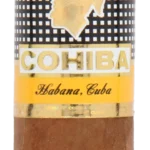 Cohiba Siglo VI Cuban Cigar - Single