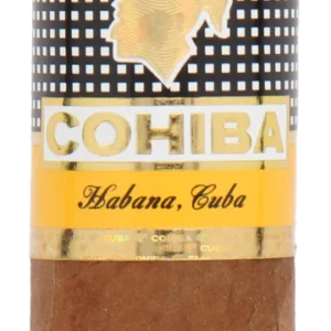 Cohiba Siglo VI Cuban Cigar - Single