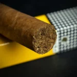 cohiba-esplendidos-cigars-d