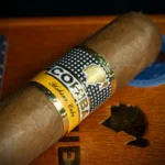 cohiba-siglo-6-cigars-c_a1c17500-c75a-4c9e-a877-e72f75a9ff31