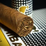 cohiba-siglo-6-tubos-cigars-e