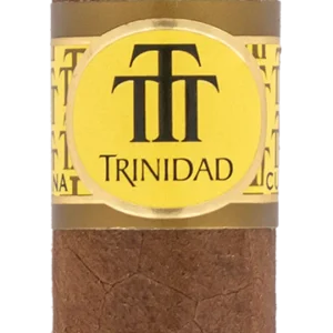 Trinidad Fundadores Cuban Cigar - Single