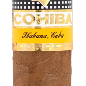 Cohiba Siglo IV Cuban Cigar - Single